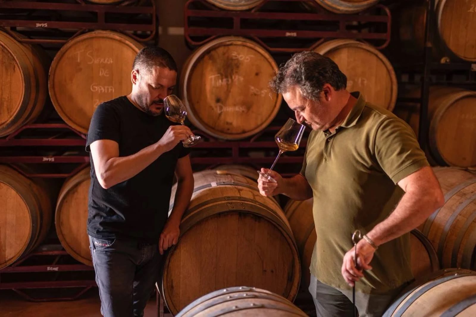 Catando entre barricas en la bodega
